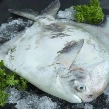 KAFRI