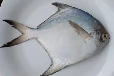 Pomfret