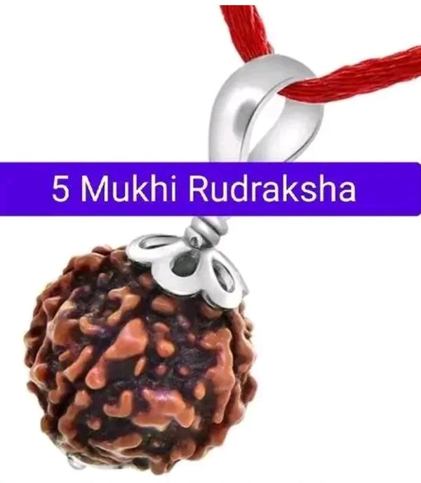 LORD SHIVA METALS 5 Mukhi Rudraksha Pendant