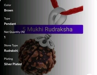 LORD SHIVA METALS 5 Mukhi Rudraksha Pendant