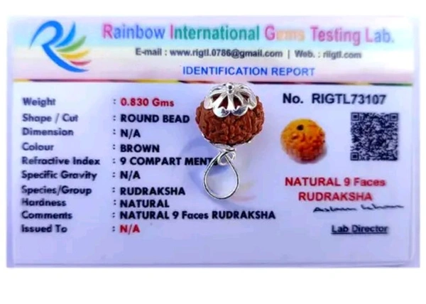 Natural 9 Mukhi Rudraksha Pendant Locket Original Real Nine Face Rudraksh Pendant Small Size Java Bead Lab Certified 9 Face Rudraksha Pendant Locket 9 Mukhi Rudraksha
