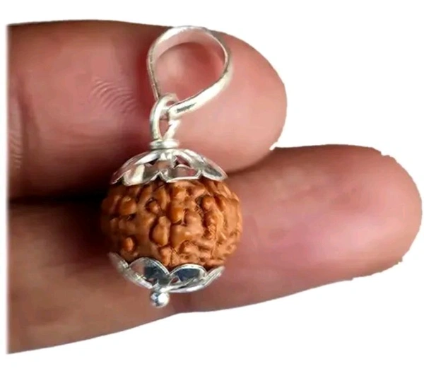 Natural 9 Mukhi Rudraksha Pendant Locket Original Real Nine Face Rudraksh Pendant Small Size Java Bead Lab Certified 9 Face Rudraksha Pendant Locket 9 Mukhi Rudraksha