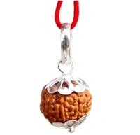 Natural 9 Mukhi Rudraksha Pendant Locket Original Real Nine Face Rudraksh Pendant Small Size Java Bead Lab Certified 9 Face Rudraksha Pendant Locket 9 Mukhi Rudraksha