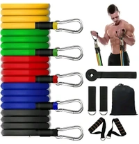 Exercise Bands