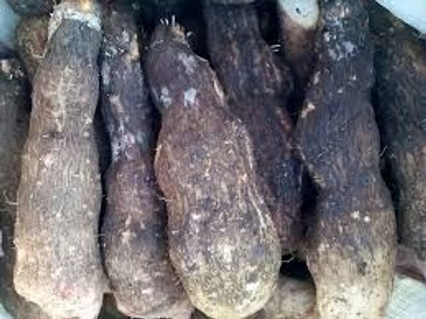 Odisha Khamba Alu / Mati alu (ମାଟି ଆଳୁ) Yam  - 500gm