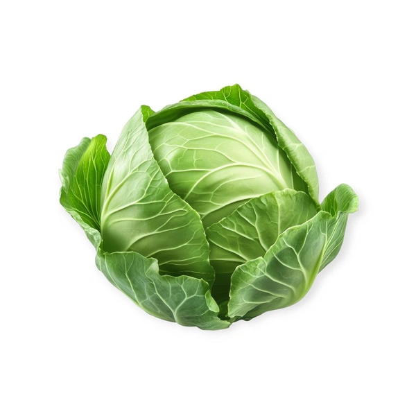 Bandh Gobi (Cabbage) – Farm Fresh | 1 Piece - 1 KG (Approx 700-1000 gmx