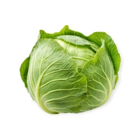 Bandh Gobi (Cabbage) – Farm Fresh | 1 Piece - 1 KG (Approx 700-1000 gmx