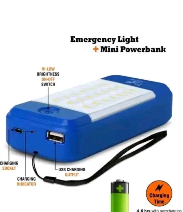 24 Energy En 39 Emergency 21 Wall Light 8 hrs