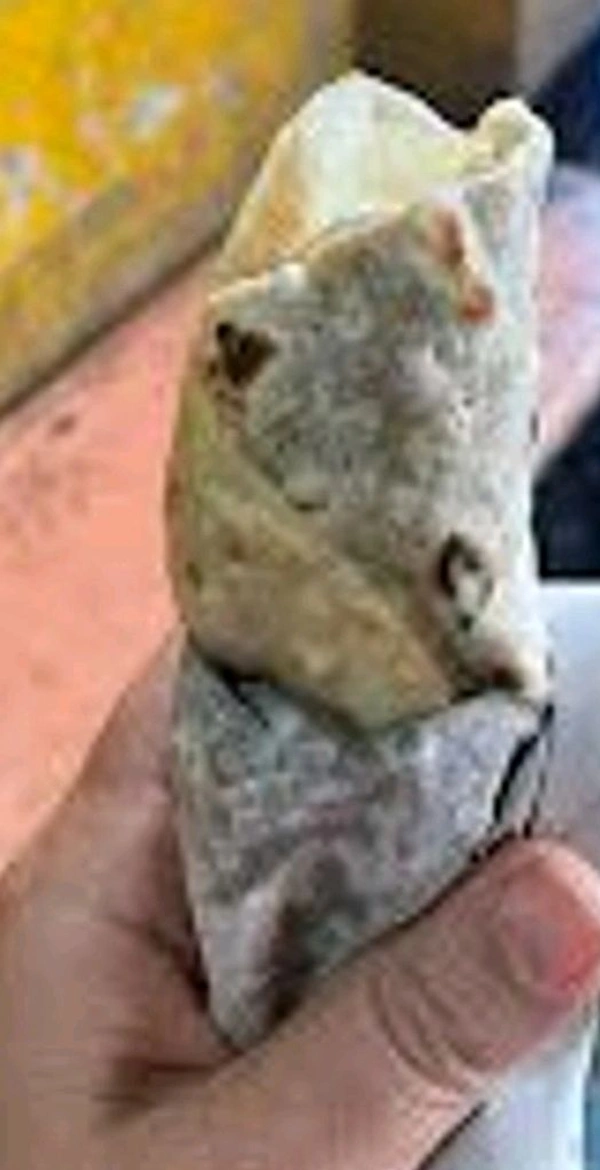 Veg Kabab Roll