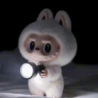 Labubu Surprise Doll 