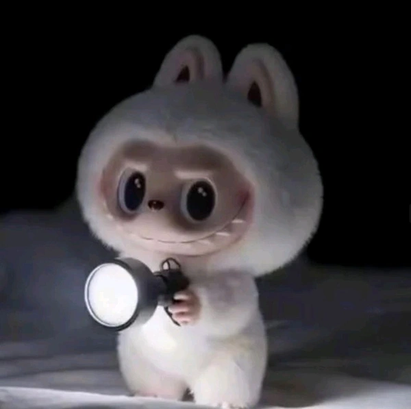 Labubu Surprise Doll 