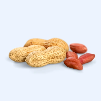 Ground Nuts (Peanuts)