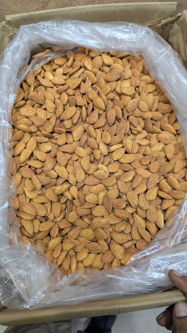 Almond Indipendent Regular  - 10