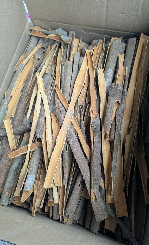 Cinnamon Sticks