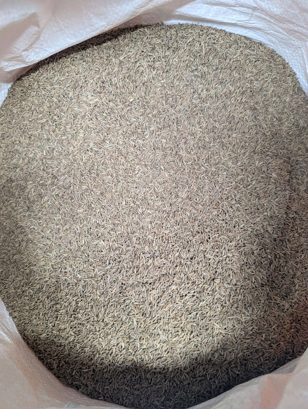 Cumin Seeds 