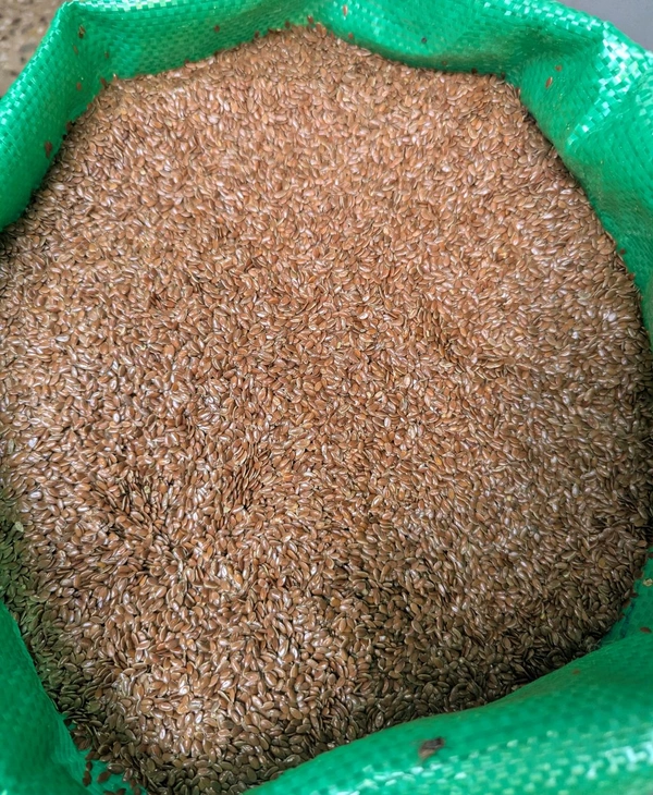 Flax Seeds  - 10