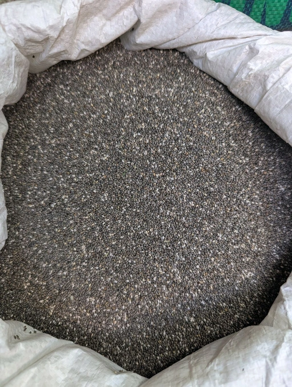 Chia Seeds  - 12.5