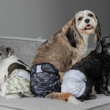 Pet Products