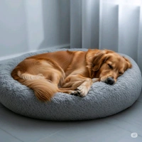Comfortable Bed For PETS. Dog And Cat Bed  - Free, Brown