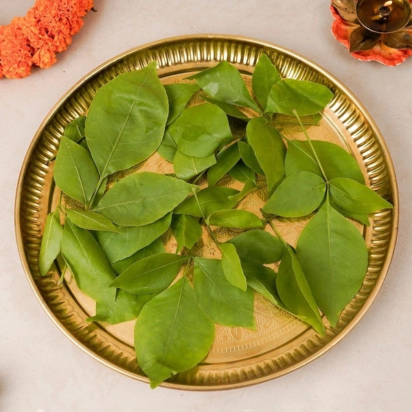 Bel Patra 10 Pcs