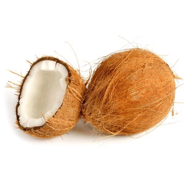 Coconut (नारियल) 1 Pcs 