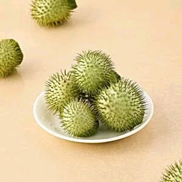 fresho! Datura (धतूरा)   1 pc (Approx. 50 g - 60 g)