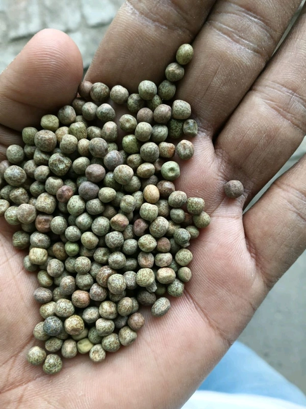 Karao