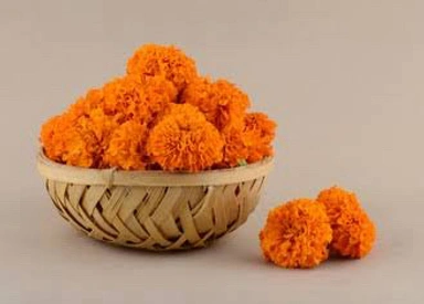 ताज़े फूल और माला