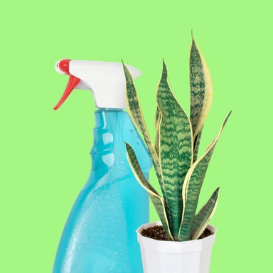 Household Essentials