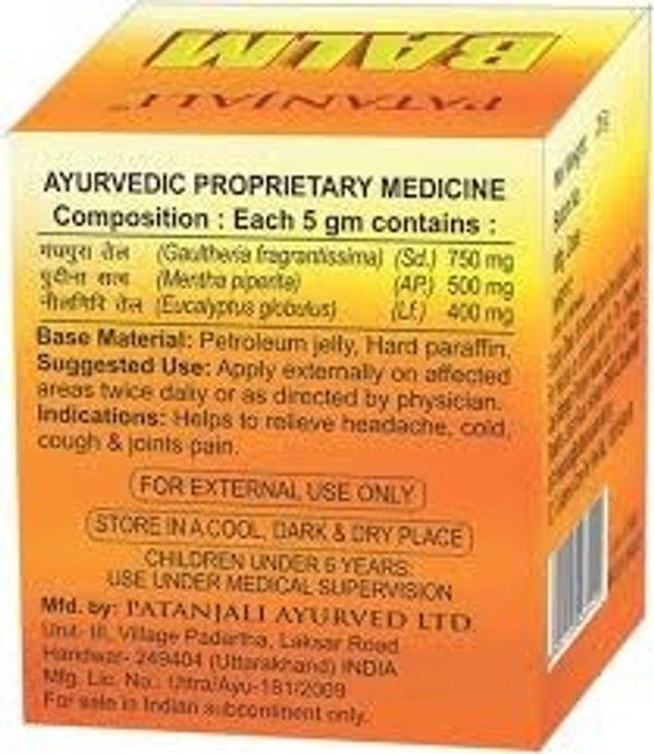 Patanjali Balm - 25g