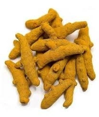 Sabuta Haldi (Loose) - 100g