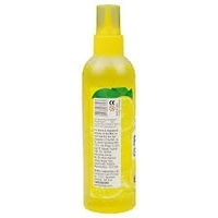 Pidilite  Fevi Gum - 200ml