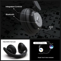 Boat Rockerz 450v2 Bluetooth Headphone - black