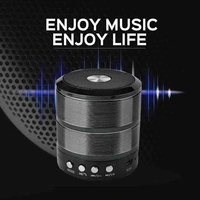 MZ Ws-887 Bluetooth Speaker 