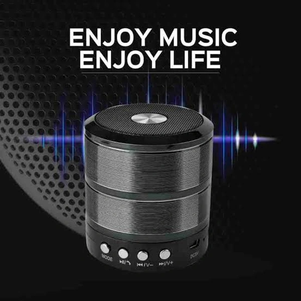 MZ Ws-887 Bluetooth Speaker 