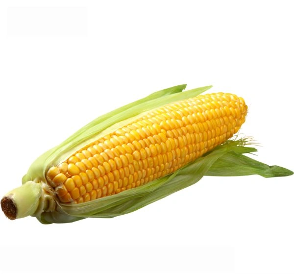 Corn (Bhutta) - 5 Pic