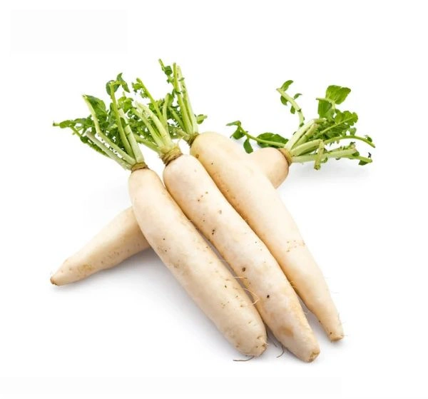 Radish ( Mulo) - 2 Pic