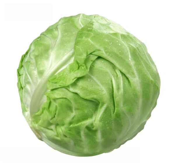 Cabbage ( Badha Kopi) - 1 Pic, 1KG-1.2 KG