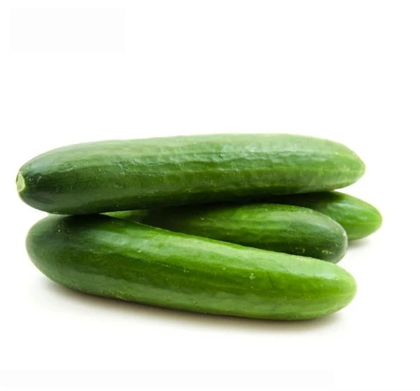 Cucumber (Sosa) - 500-550 Grams