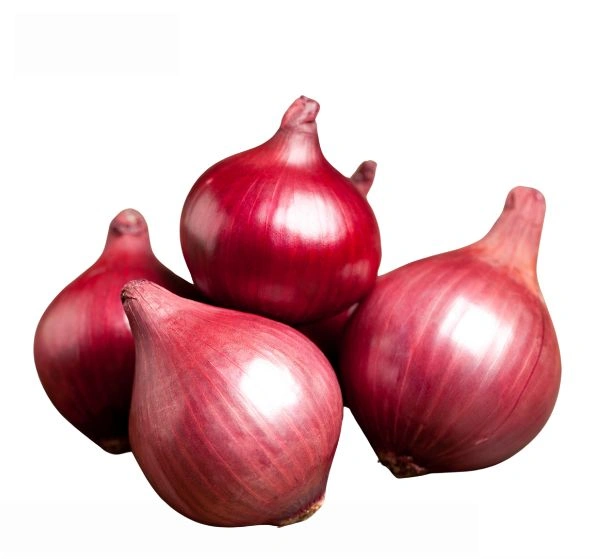 Onion (Peyaz) - 1 KG