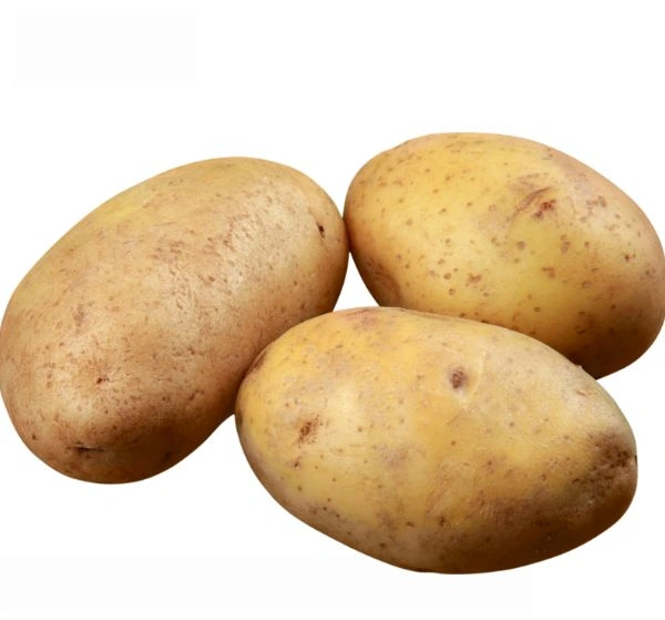 Potato - Chandramukhi  - 2.5 KG