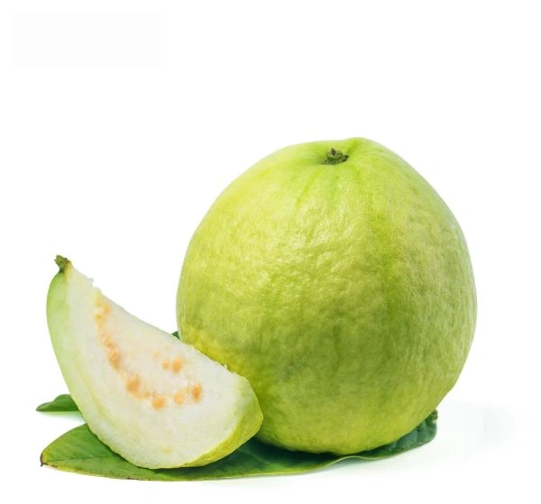 Guava (Peyara) - 500-550 Grams