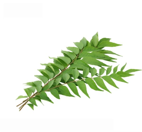 Curry Leaves 