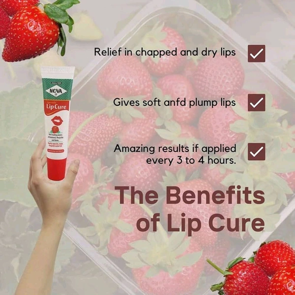 Nova Ayurvedic Lip Cure 10 Gms - Red, 10 Gms