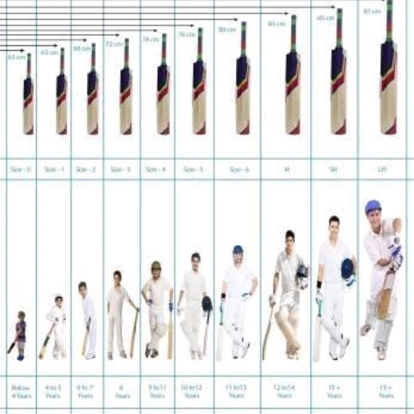 latest Cricket Bats