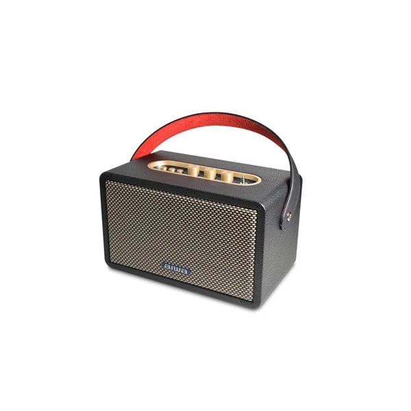 Aiwa RS-X 100 Natsukasii Pro Speaker - Black, New