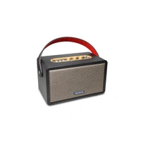Aiwa RS-X 100 Natsukasii Pro Speaker - Black, New