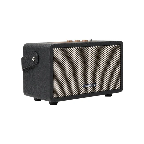 Aiwa RS-X 100 Natsukasii Pro Speaker - Black, New