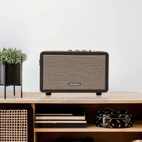 Aiwa RS-X 100 Natsukasii Pro Speaker - Black, New