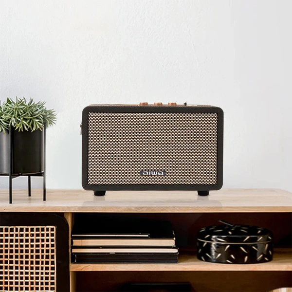 Aiwa RS-X 100 Natsukasii Pro Speaker - Black, New